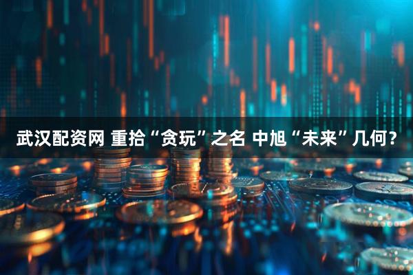 武汉配资网 重拾“贪玩”之名 中旭“未来”几何？